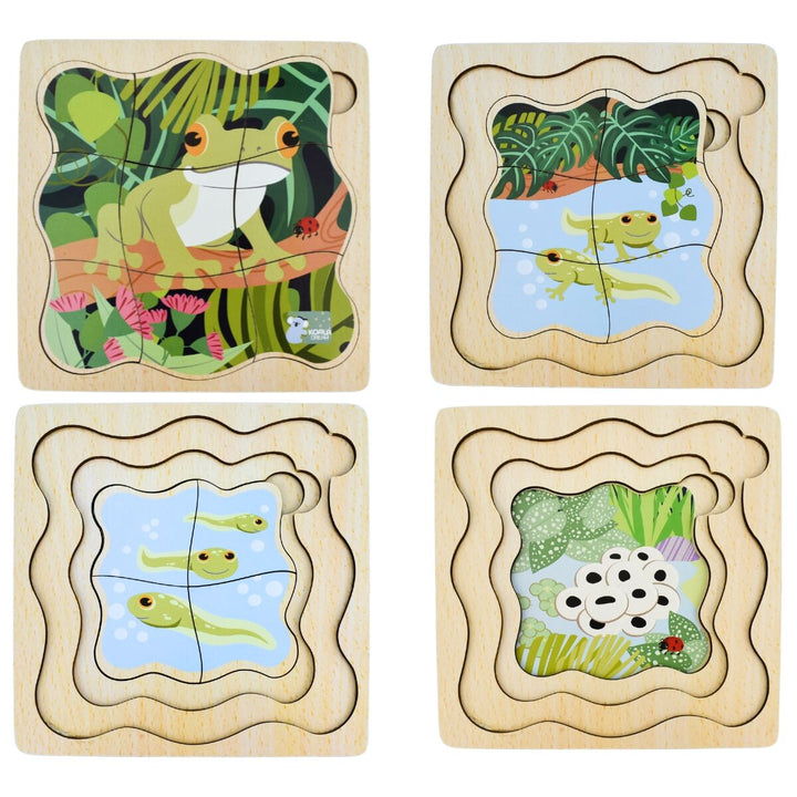 Life Cycle Layer Puzzle