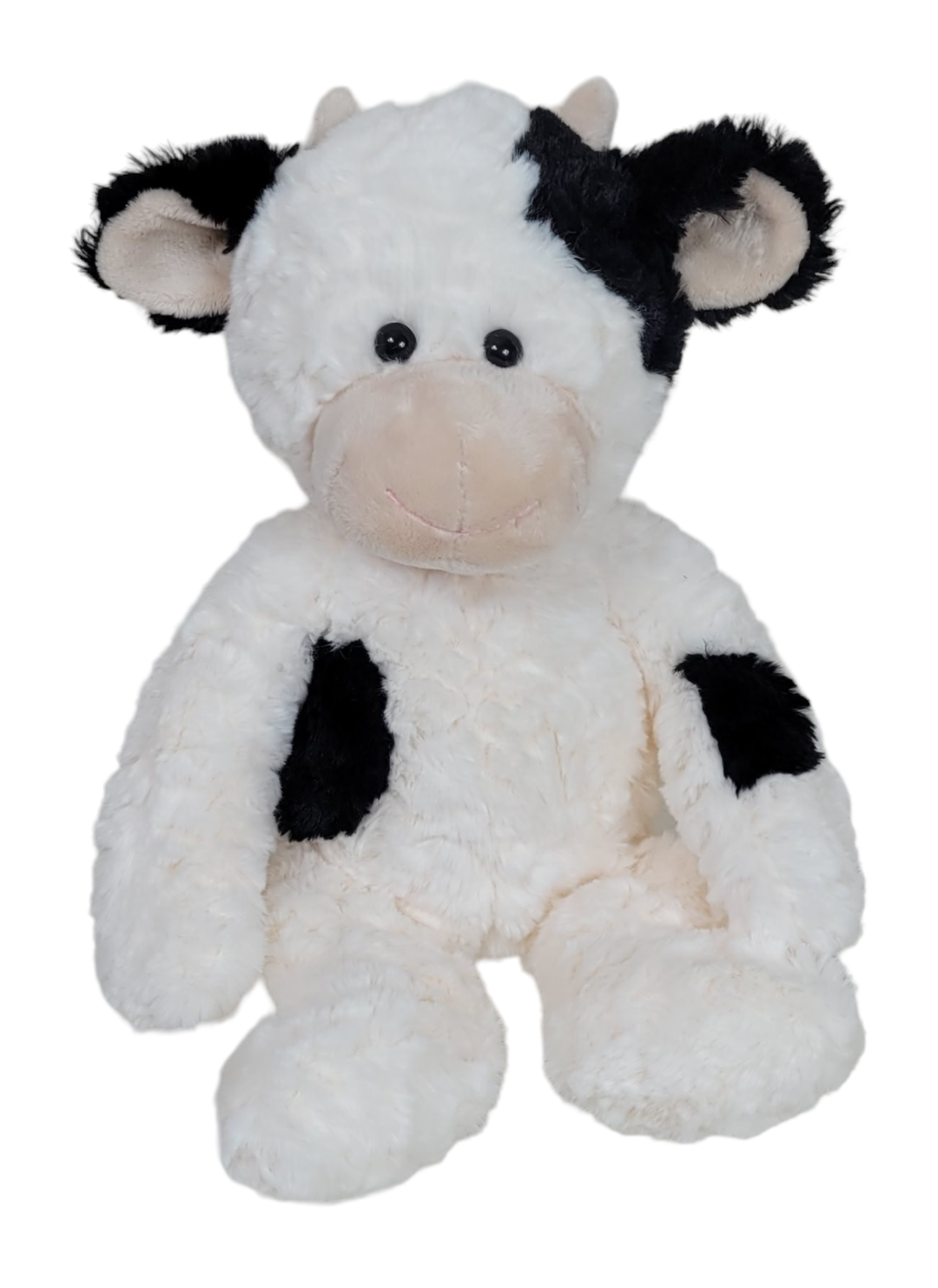 Wilbur the Black and White Cow