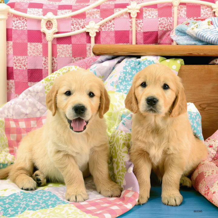 Cute Puppy Dogs 5+