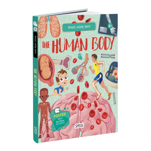What, How, Why - The Human Body