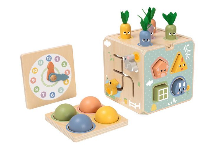 Activity Cube