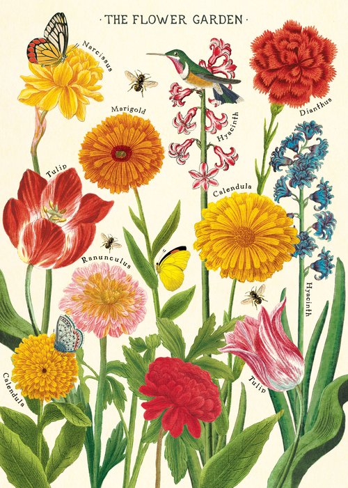 Poster - Flower Garden