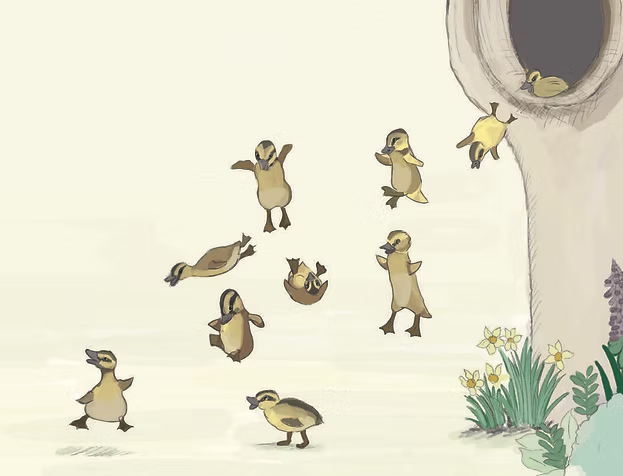 Ducks on the Move