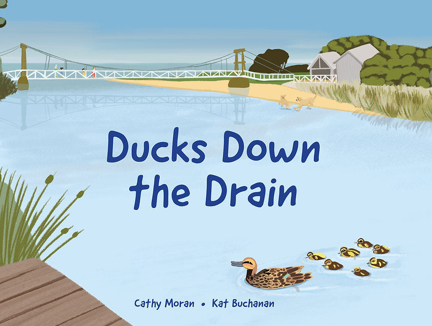 Ducks Down the Drain