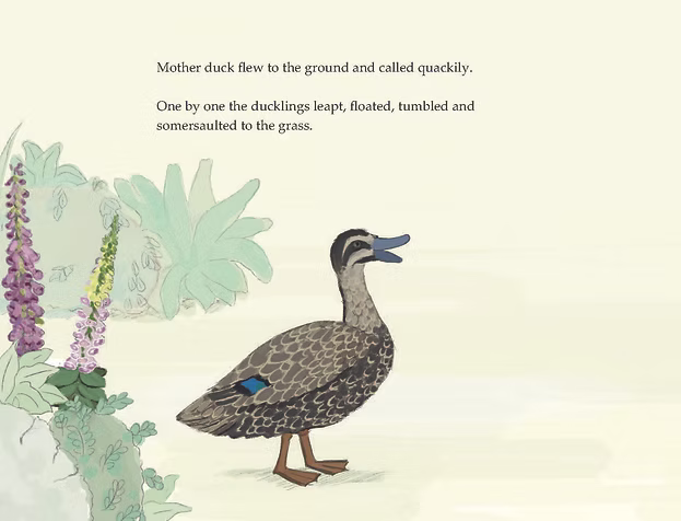 Ducks on the Move
