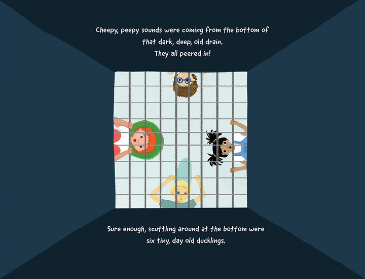 Ducks Down the Drain