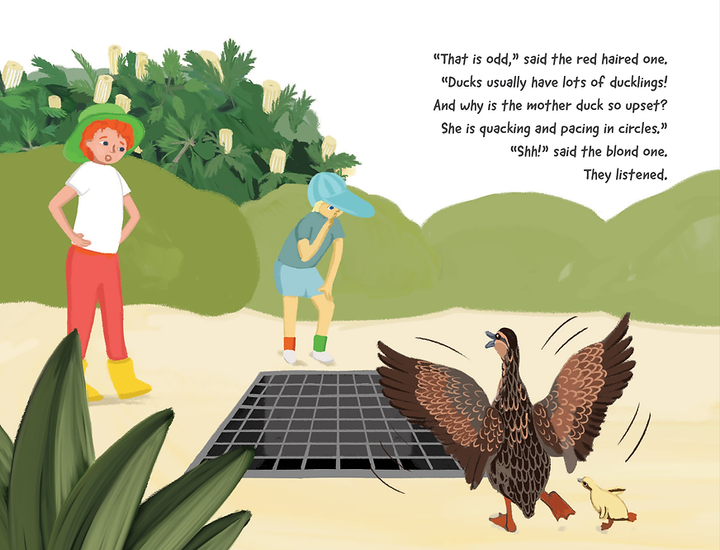 Ducks Down the Drain