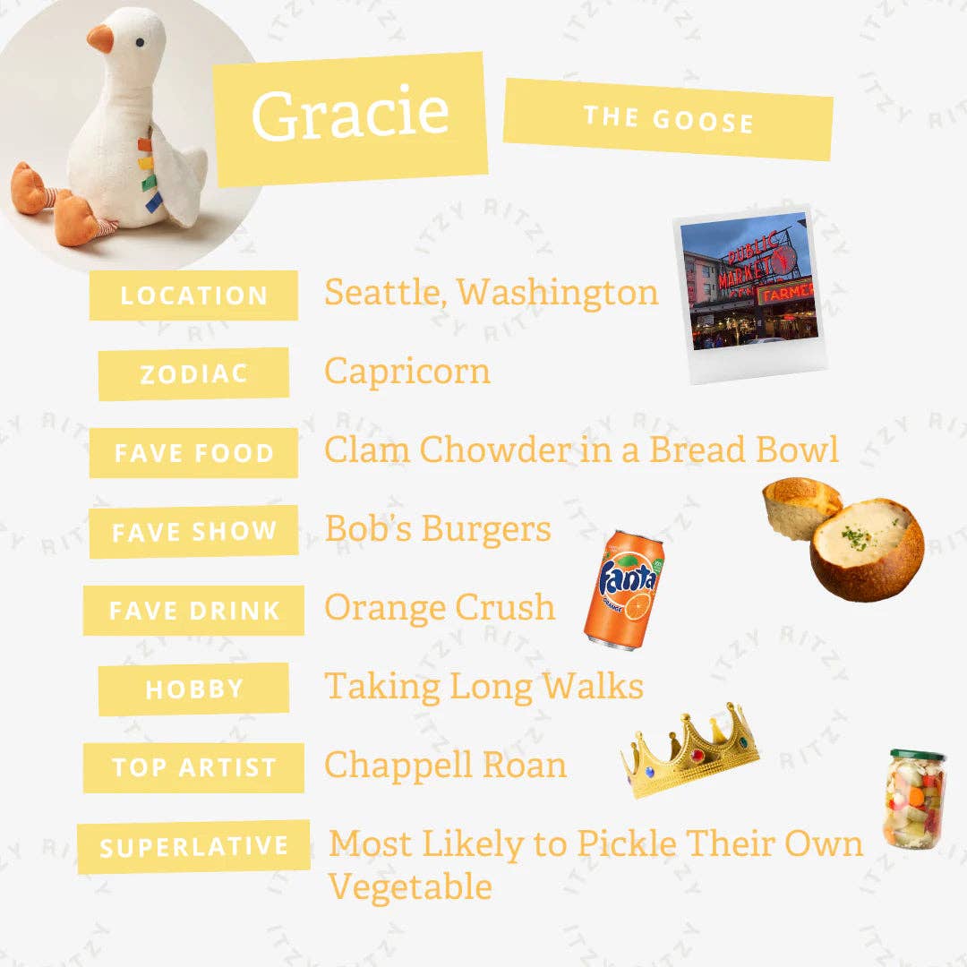 Sweetie Snuggles™ | Gracie the Goose