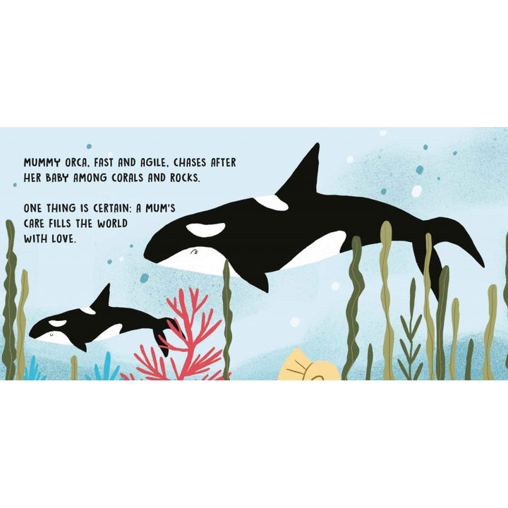 Sweet Sounds Stories - Mums and Cubs