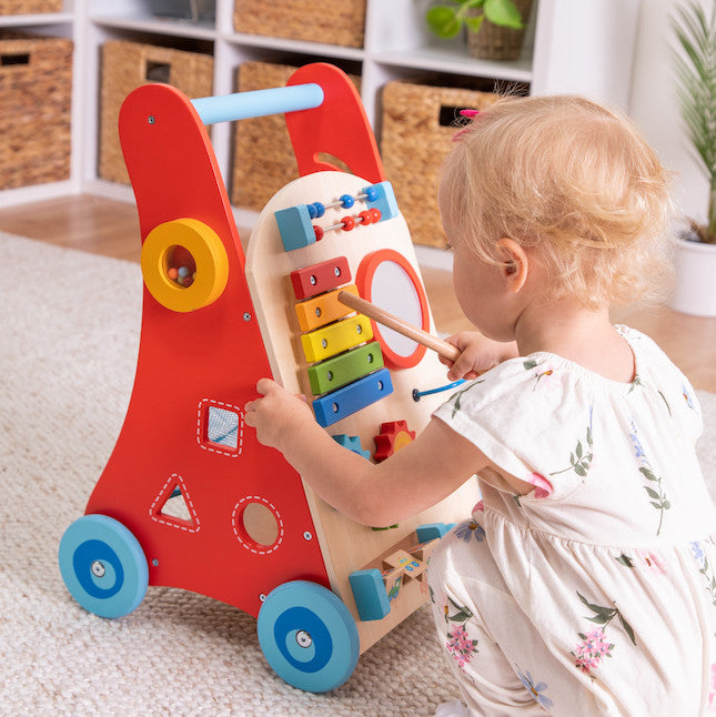 Busy Baby Deluxe Walker