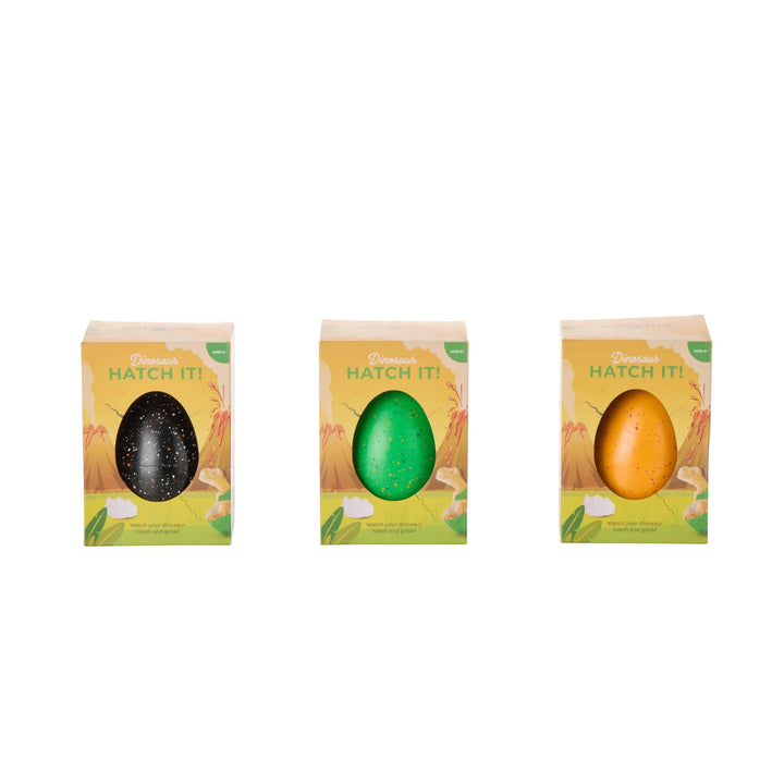 Hatch It Egg | Large - Dinosaur