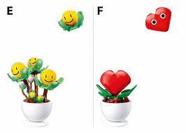 Potted Plants/Flowers