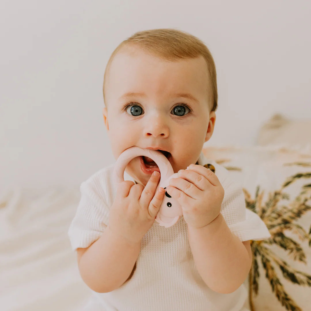 Teether | Jellies Koala