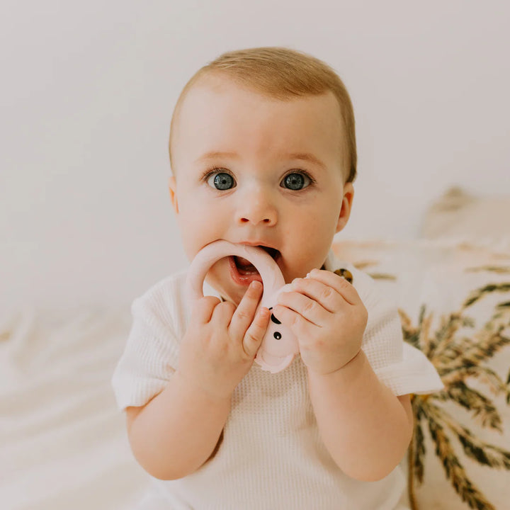 Teether | Jellies Koala
