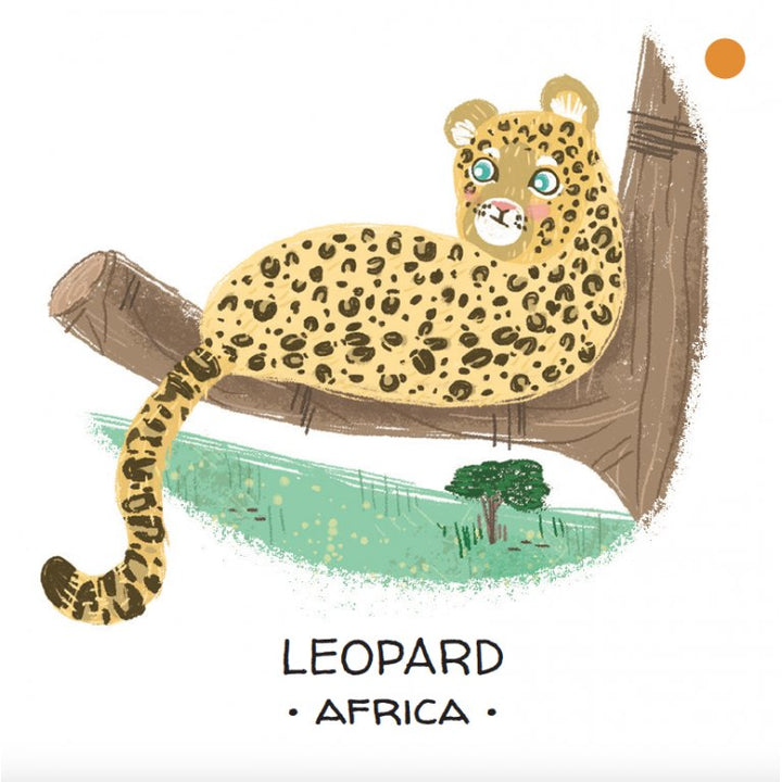 Book and Matching Game | Deserts and Savannahs