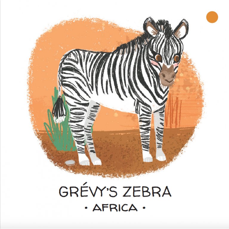 Book and Matching Game | Deserts and Savannahs