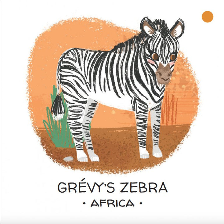 Book and Matching Game | Deserts and Savannahs