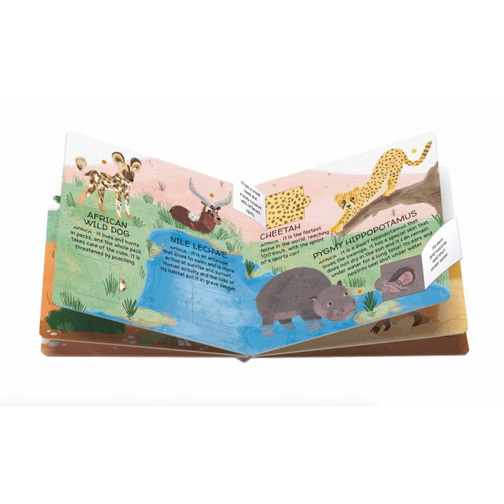 Book and Matching Game | Deserts and Savannahs