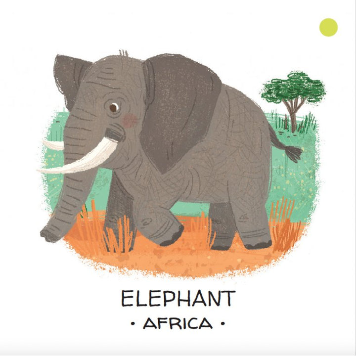 Book and Matching Game | Deserts and Savannahs
