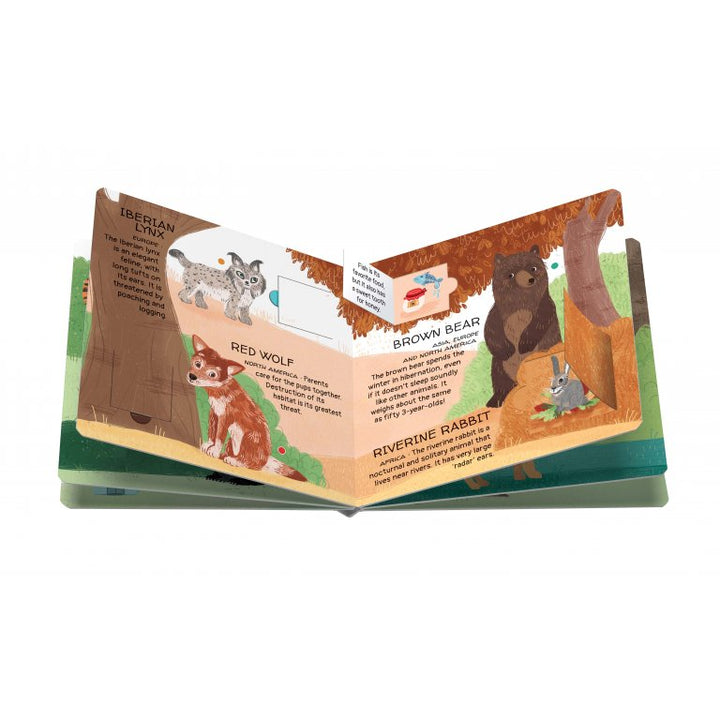 Book and Matching Game | The Woods