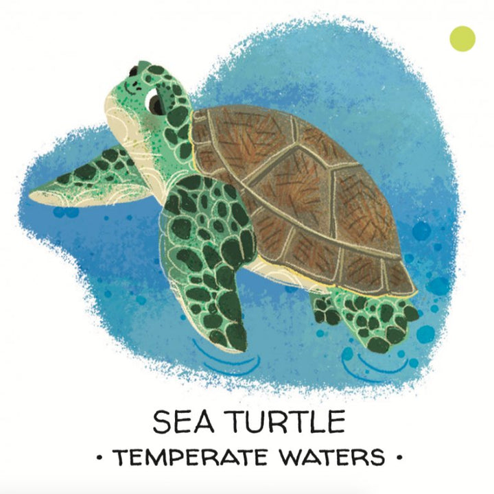 Book and Matching Game | Seas and Oceans