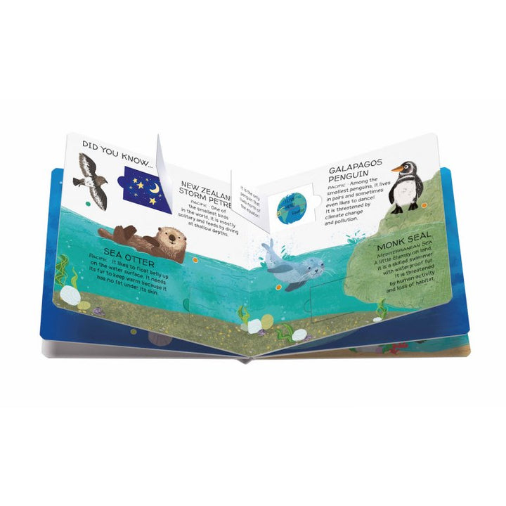 Book and Matching Game | Seas and Oceans