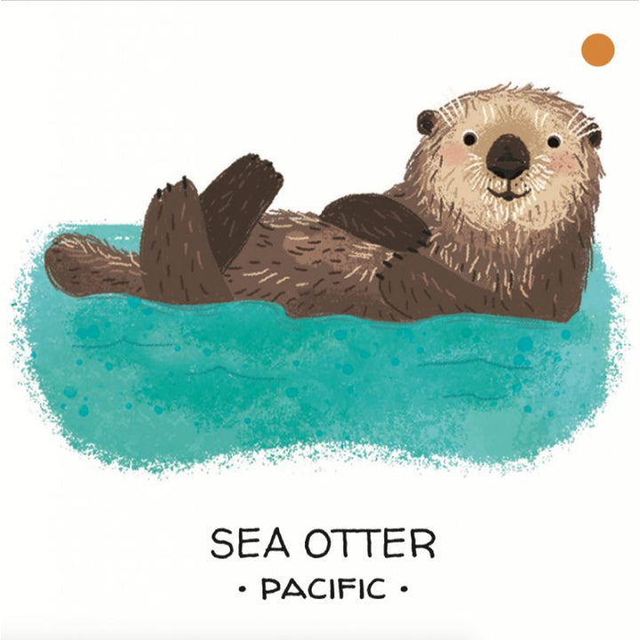 Book and Matching Game | Seas and Oceans