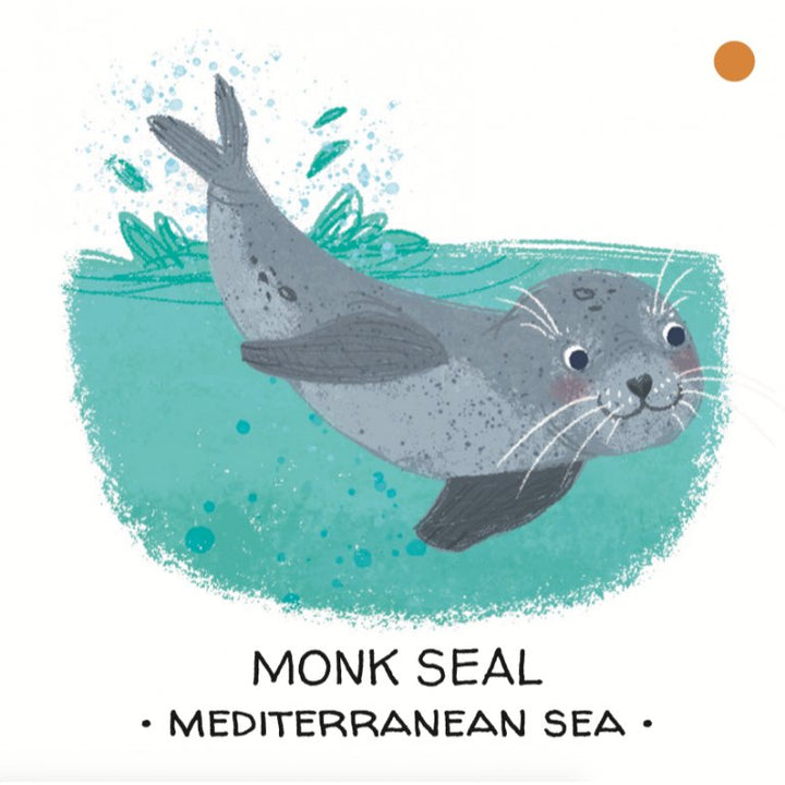 Book and Matching Game | Seas and Oceans