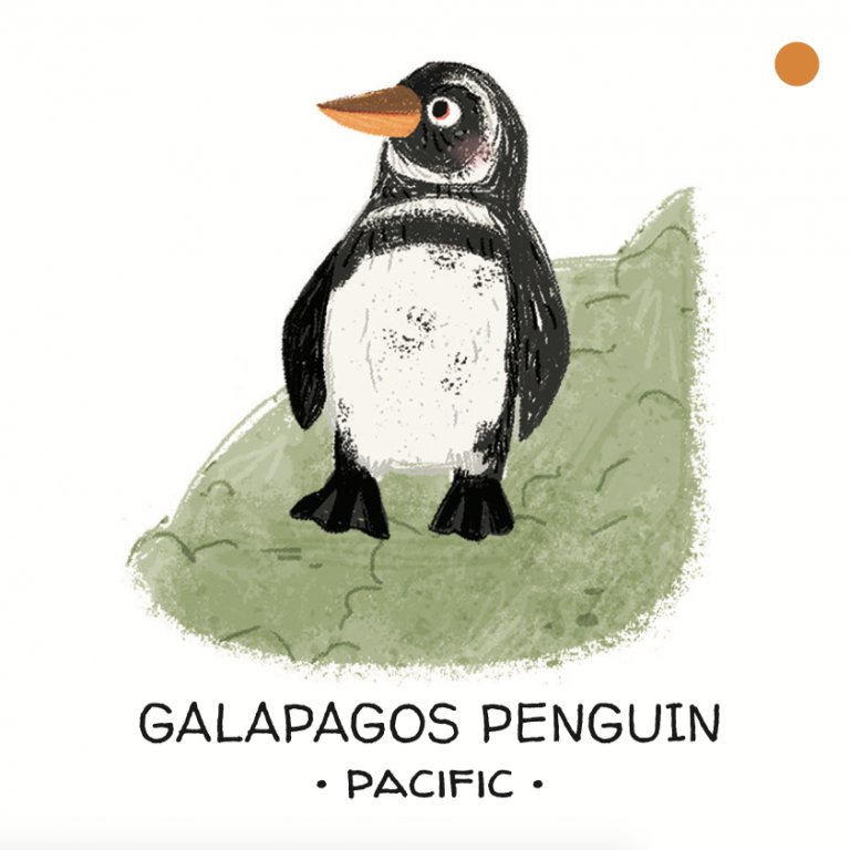 Book and Matching Game | Seas and Oceans