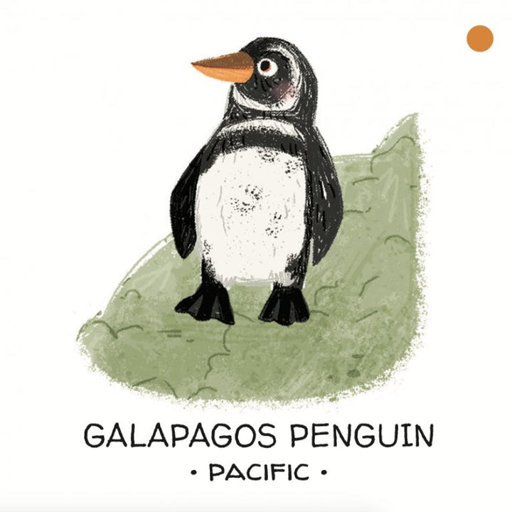 Book and Matching Game | Seas and Oceans