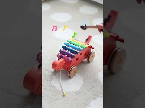 Dinosaur Xylophone