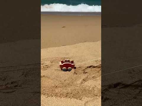 Pull Along Crab