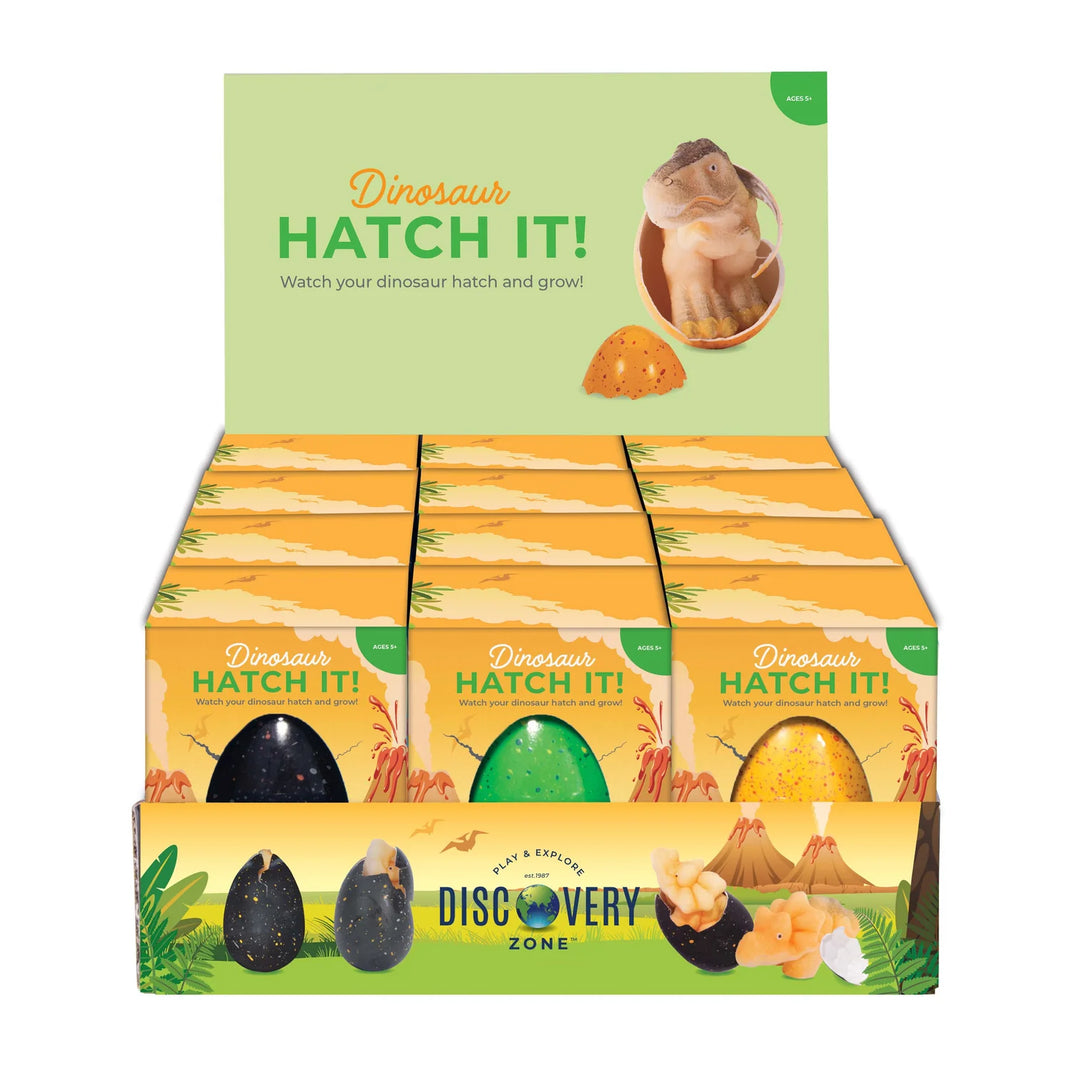 Hatch It Egg | Large - Dinosaur