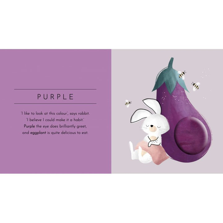 Touch and Feel Pocket Book - Colours