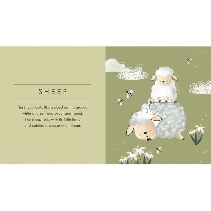 Touch and Feel Pocket Book - Animals