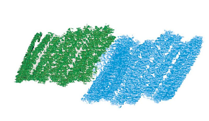 Crayons | Double-Sided