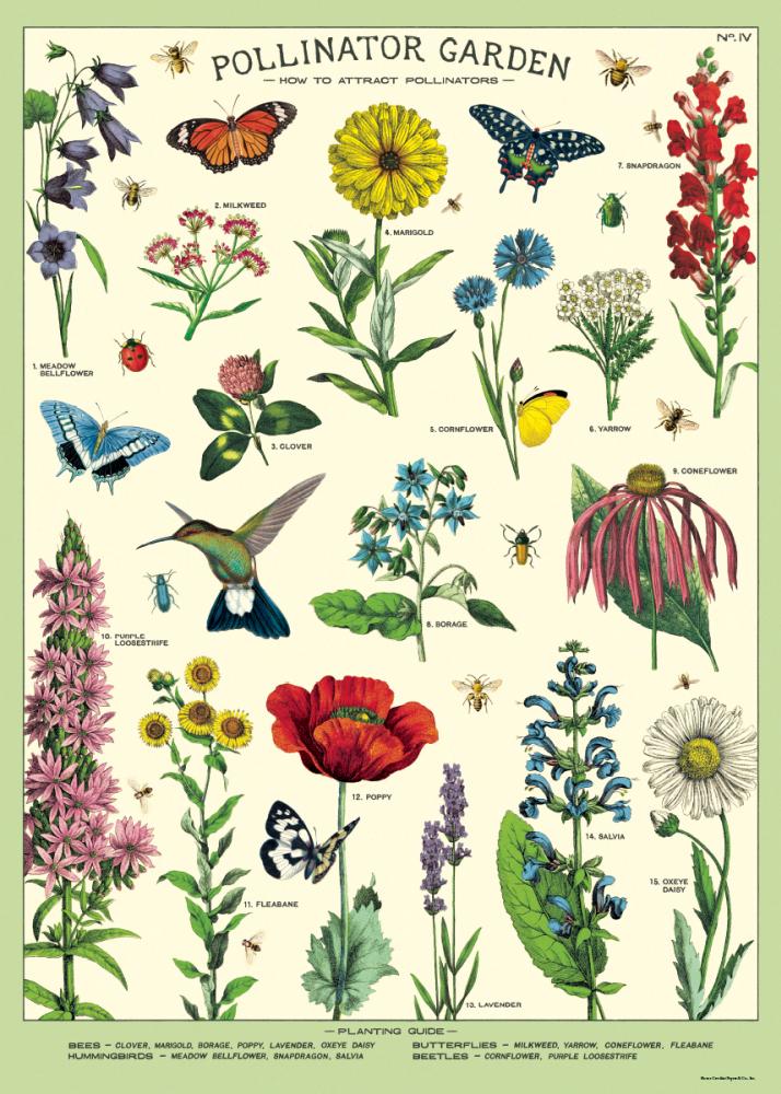 Poster - Pollinator Garden