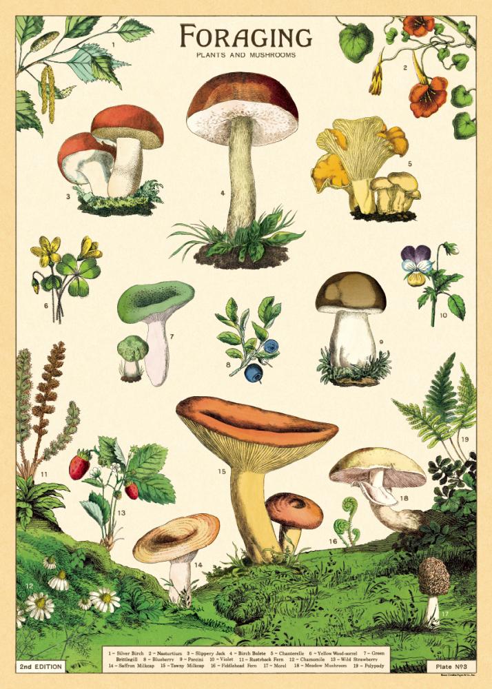 Poster - Foraging
