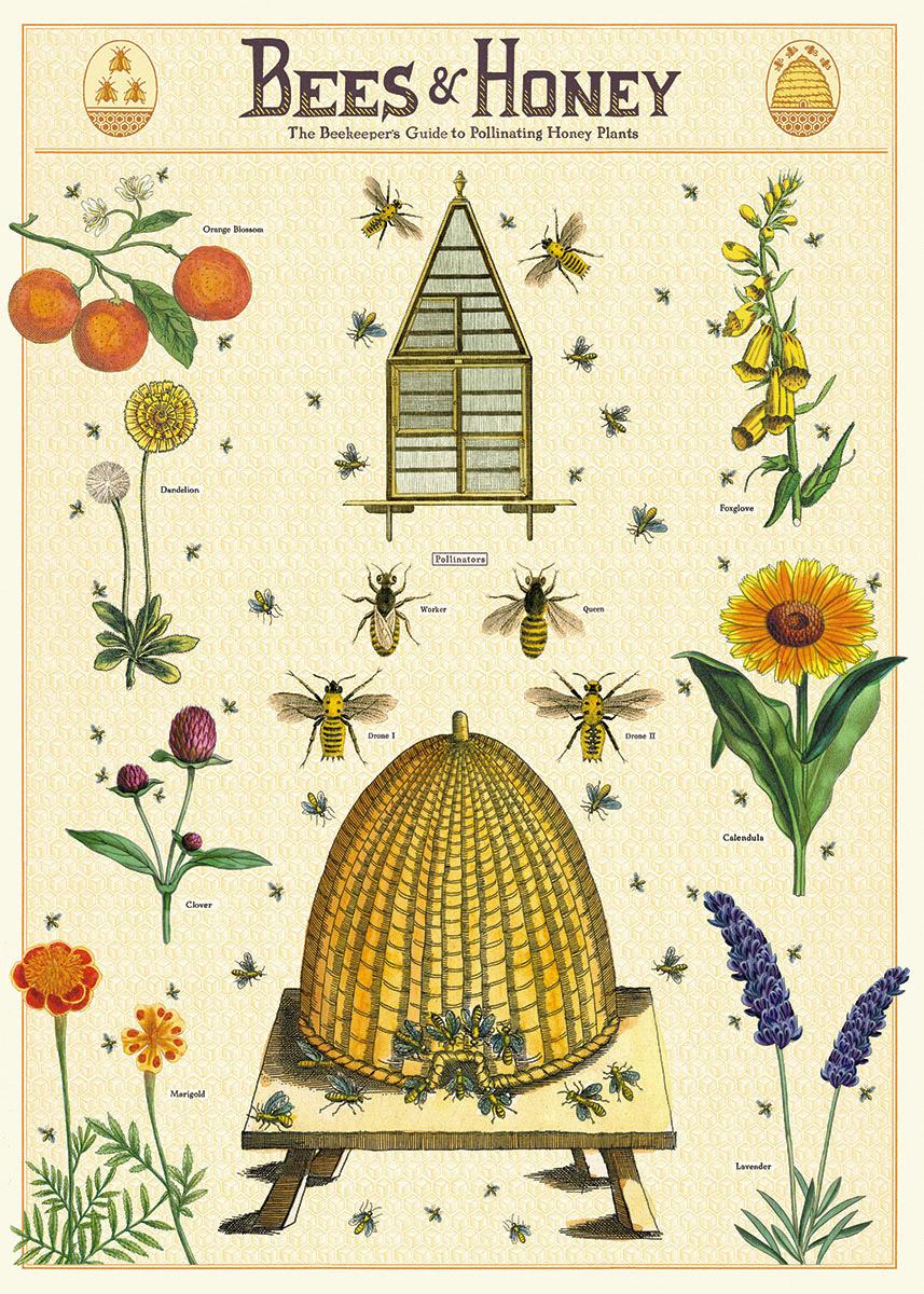 Poster - Bees and Honey