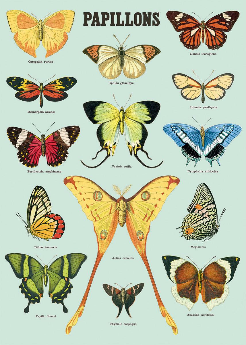 Poster - Papillions