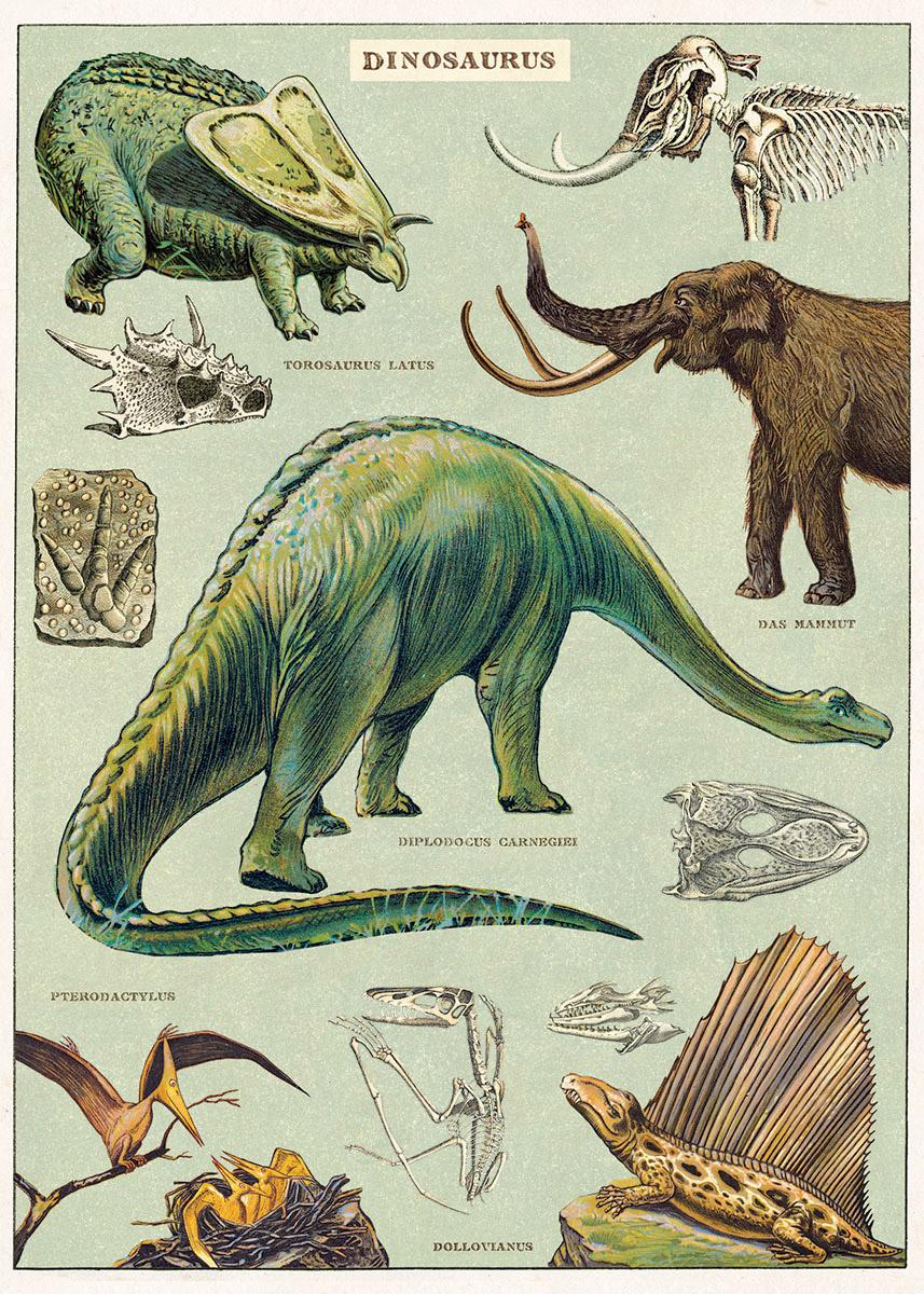 Poster - Dinosaurs