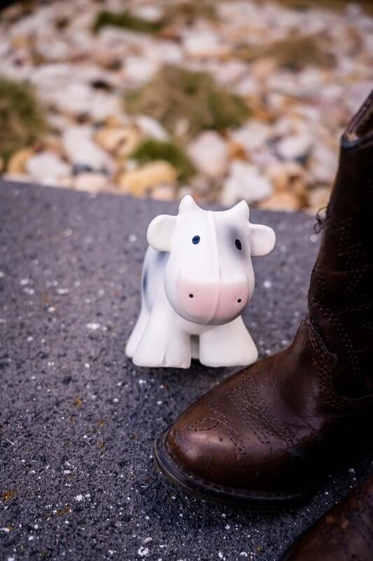 Tikiri Buddies - Farm - Cow