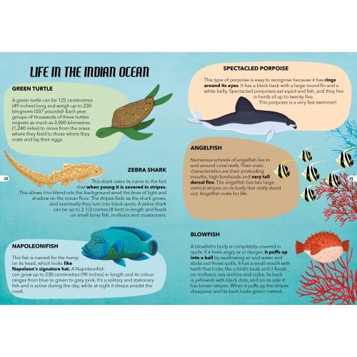 Travel, Learn and Explore – The Sea