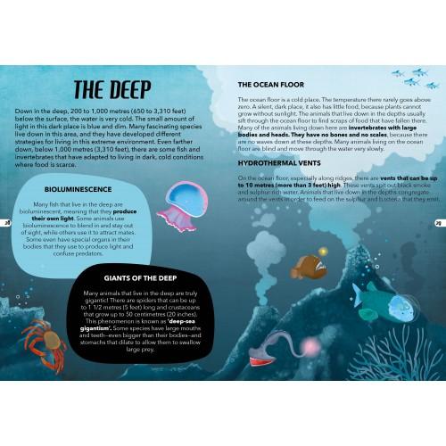 Travel, Learn and Explore – The Sea