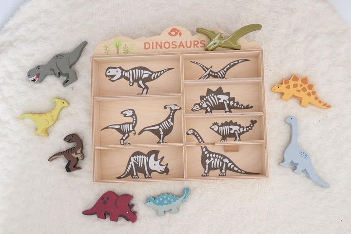 Display Shelf - Dinosaurs