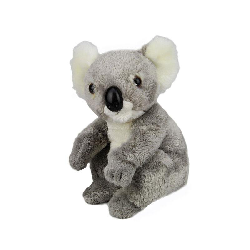 National Geographic - Baby Koala