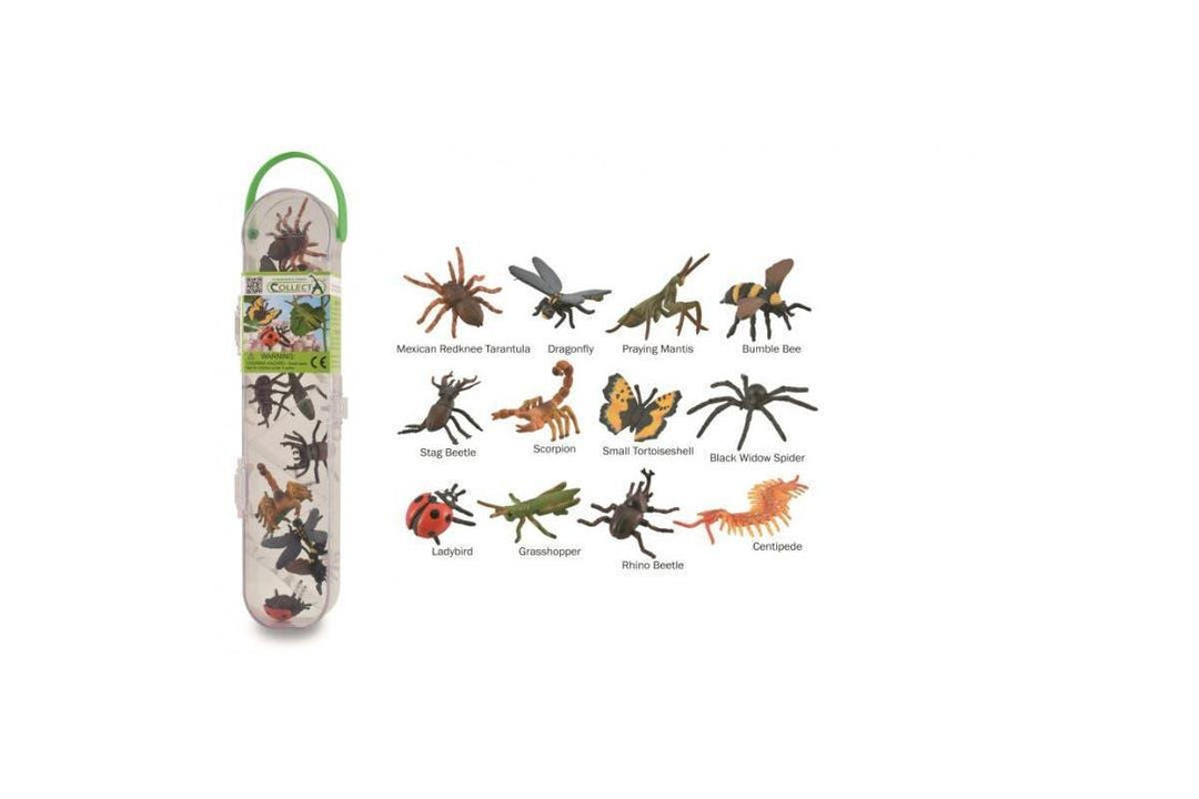 Gift Tube - Insects and Spiders