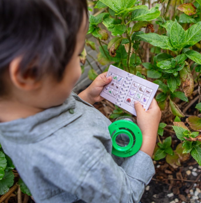 Bug Spotter Kit