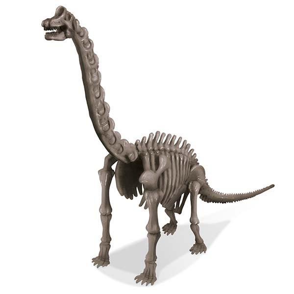 Dig a Dinosaur - Brachiosaurus