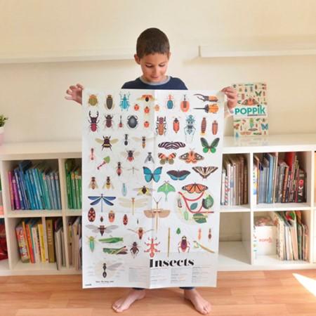 Discovery Stickers - Insects